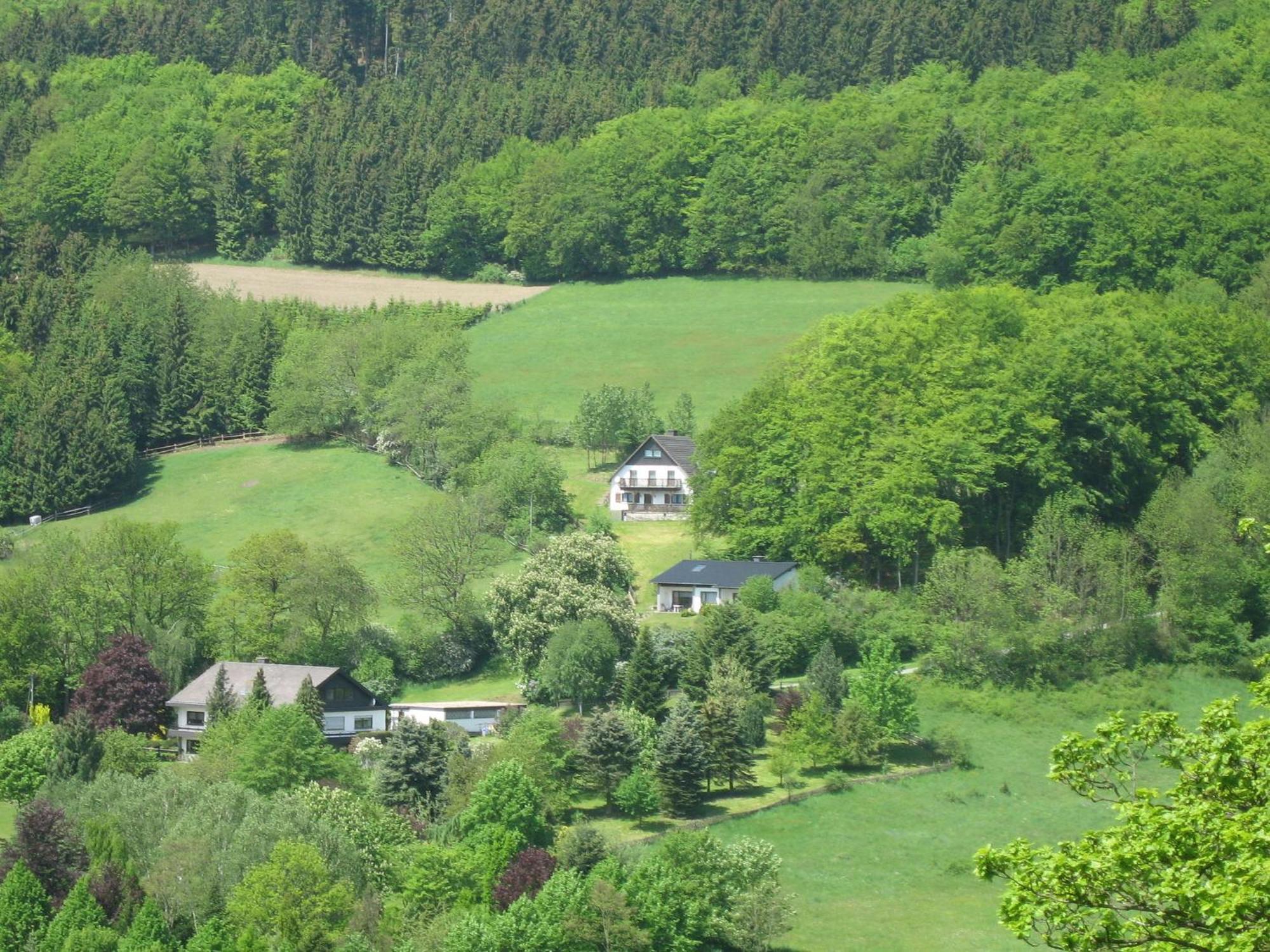 Nice Holiday Home Near Ski Area Medebach Bagian luar foto